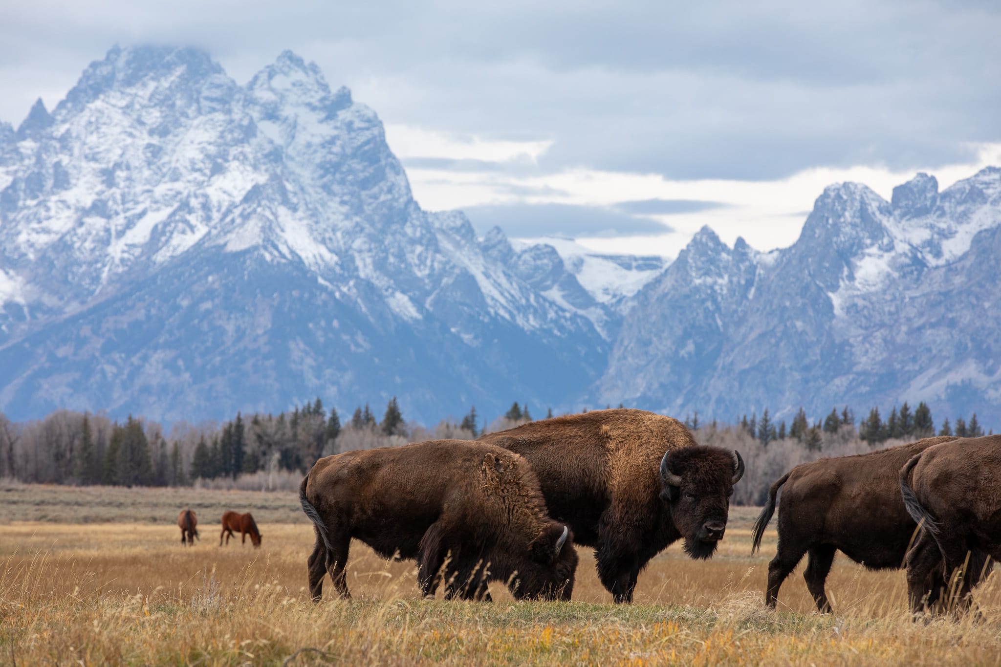 Yellowstone